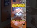 SH 105 Pneumatic flat press machine #men'sunderwearmachine #garmentproduction #productionline