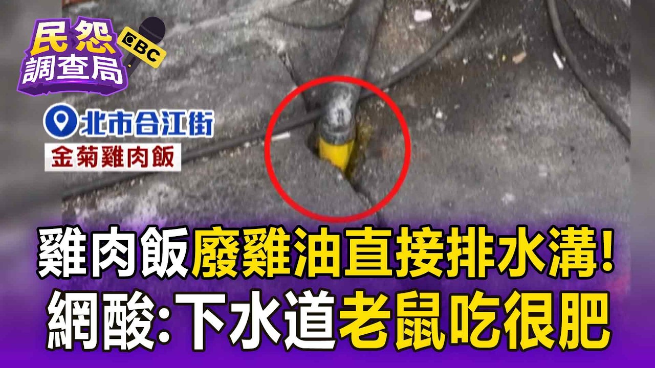 噁！金菊雞肉飯「金色雞油」直接排水溝 網友諷：裡面老鼠一定很肥【民怨調查局】