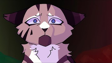 Derniere Danse pt 11 - Ivypool MAP