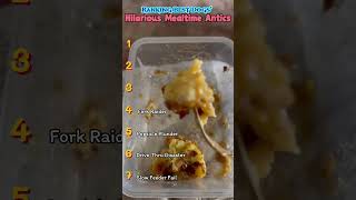 Funniest Dog Food Heists &amp; Mealtime Fails 2026 | No Chill Dogs56 Y #dogs