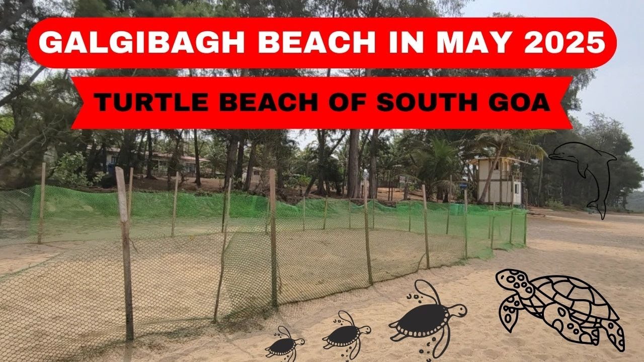 Galgibaga Beach - South Goa || Turtle Beach of Goa || South Goa in May 2025 | Episode - 5