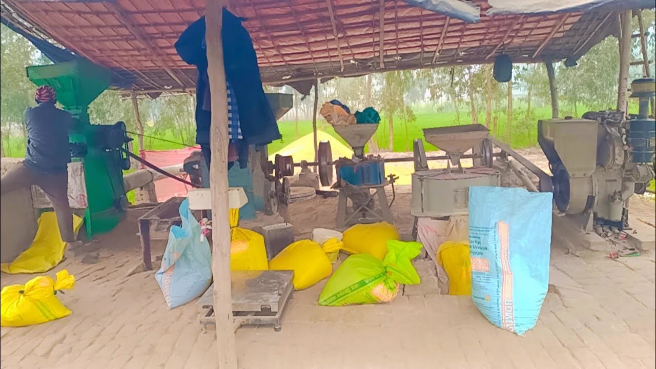 आ गये हैं सेलर पर धान कुटबाने 🥰