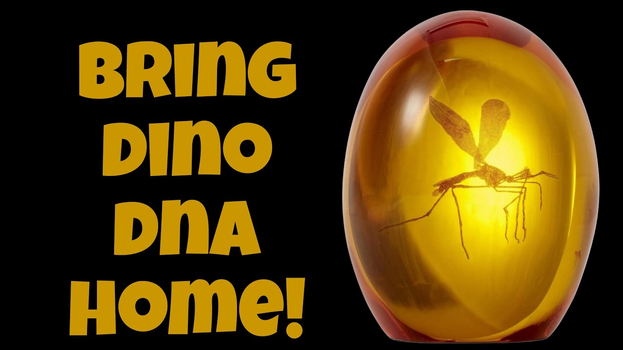 Is This Jurassic Park Amber Replica Worth It? Full Review!