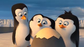 Penguins of Madagascar: Lahirlah Private! - Dubbing Indonesia