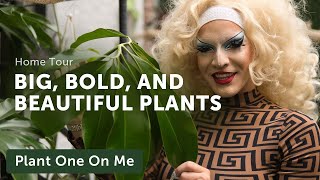 HOUSEPLANT HOME TOUR with MissLeidy The Plant Lady — Ep 248