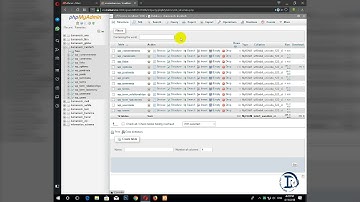 نحوه خروجی گرفتن از اطلاعات پایگاه داده