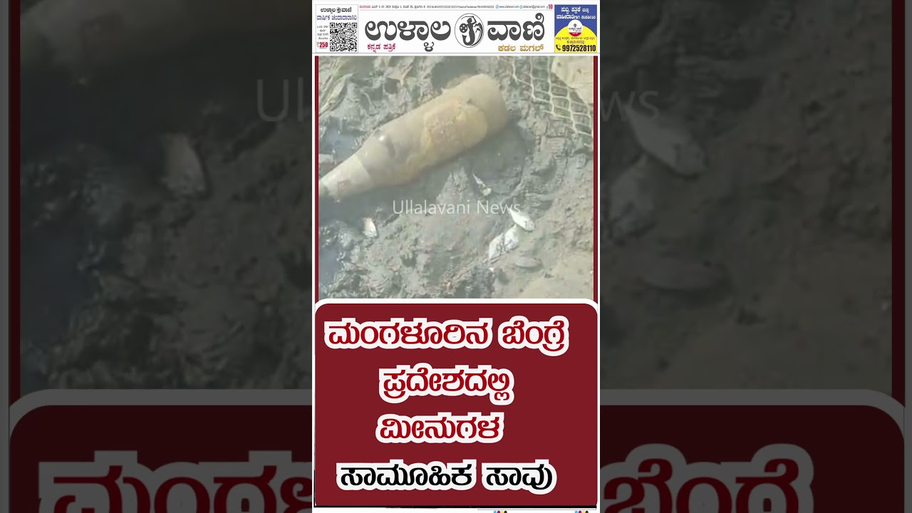 ಬೆಂಗ್ರೆಯ ಸತ್ತ ಮೀನುಗಳು ಕೇವಲ ಜಲಚರಗಳ ಸಾವಲ್ಲ; ಅದು ಪರಿಸರ ಸಂರಕ್ಷಣೆಯಲ್ಲಿ ನಮ್ಮ ವೈಫಲ್ಯದ ಪ್ರತಿಬಿಂಬ