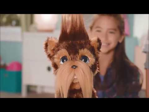 Shaggy Shawn Demo
