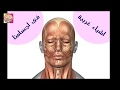 أشياء غريبة تحدث فى أجسامنا ستدهشك !!