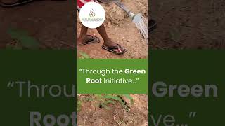 Green Root Initiative - NBYF - #GreenRootInitiative #GoGreen #Sustainability #ClimateAction