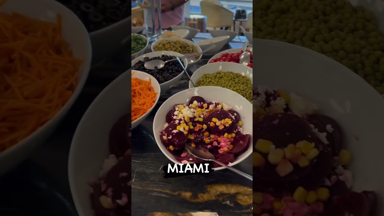 SALA VIP TURKISH, localizada no aeroporto de MIAMI !