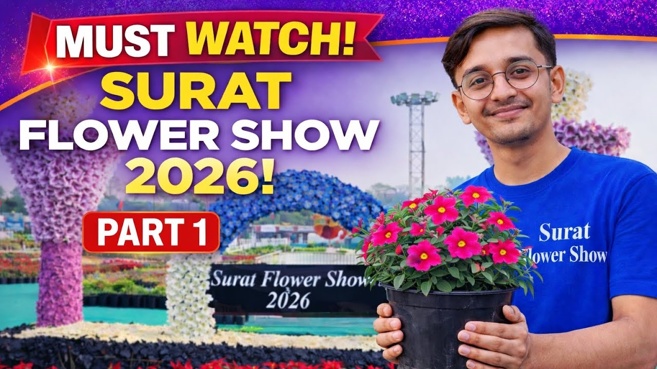 Surat Book Fair 2026 | Surat Exhibition 2026 at VNSGU Ground | Food Festival & Flower Show Full Tour