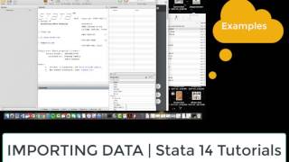 Celebrity Importing Data into Stata Wealth