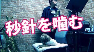 Byoushinwo Kamu (in Bb) - ZUTOMAYO