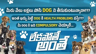 PET DOG INSURANCE BY BAJAJ ALLIANZ by Pet's TV Telugu 32,774 views 1 year ago 5 minutes, 33 seconds