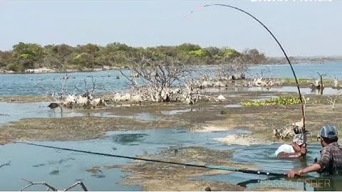 |🎣Hookfishing🎣 awesome Fishing video, catching Big rohu fishes in the river|single Hook fishermans|
