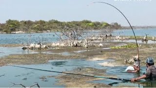 Download Lagu |🎣Hookfishing🎣 awesome Fishing video, catching Big rohu fishes in the river|single Hook fishermans| MP3