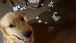 犯人はこの中に居る