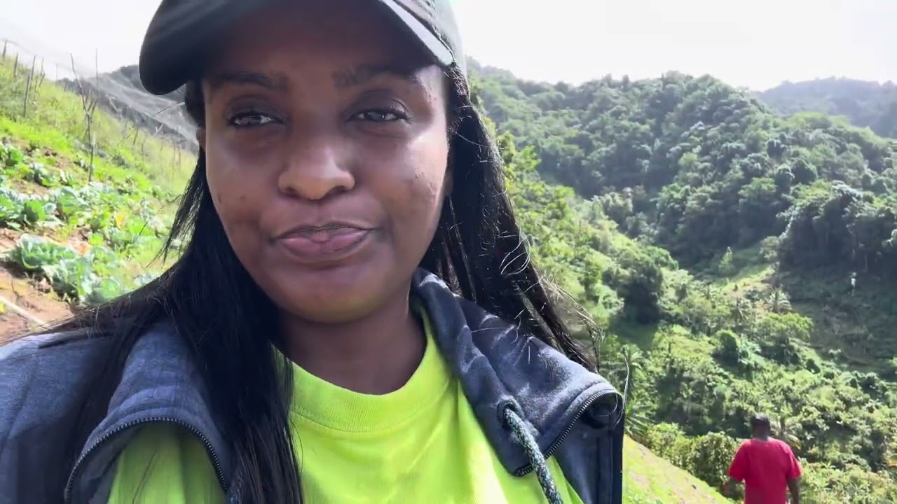 RURAL FARMING in the NATURE ISLE OF THE CARIBBEAN DOMINICA | planting, harvesting | minimal talking
