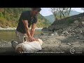 Saving a Drowning Person (Nepali) - Emergency Care Series