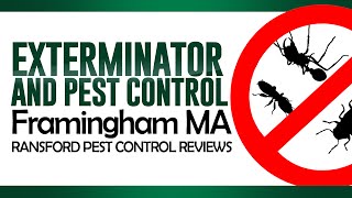 Exterminator and Pest Control Framingham MA | Ransford Pest Control Reviews | (508) 626-2847