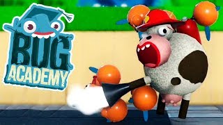 : -  Bug Academy #3