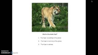 Main Idea Lesson