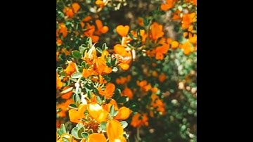 أجمل وأفضل حالات واتس اب دينيه 🖤 قرآن كريم بصوت القارئ :سعيد الخطيب || 🌘😴 ( ستوريات انستا )😴