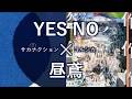 YES NO × 昼鳶 / サカナクション × ヨルシカ 【マッシュアップ】