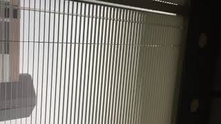 Gallery 720 Leaks in St. Louis