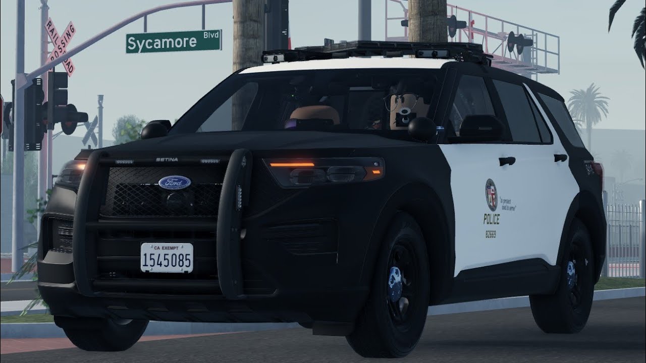 The APD/LAPD Experience