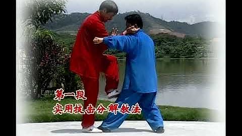 Sun-style Xingyi Ba Shi Quan lecture 