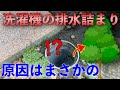 【高圧洗浄】油なのか?否、勾配不良なのか?否!!!詰まり原因としてはぶっちぎり厄介な奴登場!【Drain Unblocking】【花のお掃除 #14】