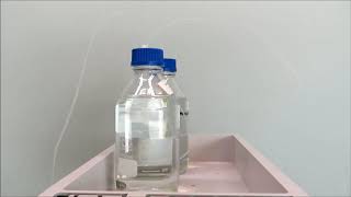 AB Sciex 4500 Triple Quadrupole LC/MS System AB Sciex 4500 Triple Quadrupole LC/MS System
