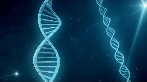 Two Rotating DNA Stock Motion Graphics