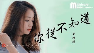 劉增瞳 - 你從不知道 (歌词) ♫ Liu Zeng Tong - Ni Cong Bu Zhi Dao (Lyrics)【HD】