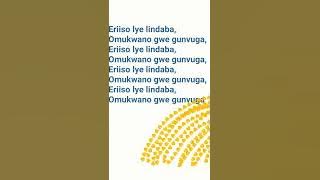 Gunvuga by Engineer Brian Ft Phiona Nondo Lyrical Video