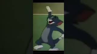 Tom Laughing Tom And Jerry