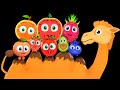 Big baby sensory collection   alice the camel kids songs  funky fruits  dance party  fun