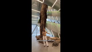 A New Home for New Art