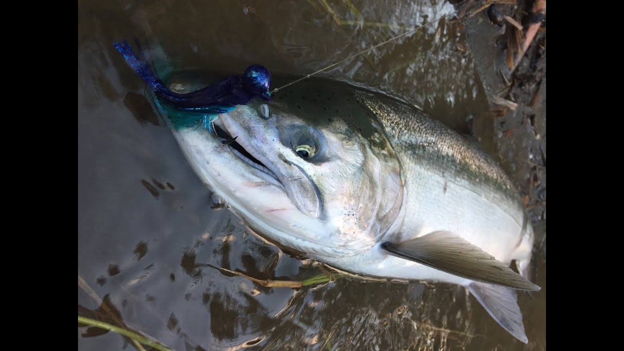 Coho Salmon Fishing Tips  3 Different Ways To Scent Your Twitching Jigs 🎣  