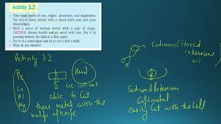 Activity 3.2 || Metals And Non Metals || Class 10 Science