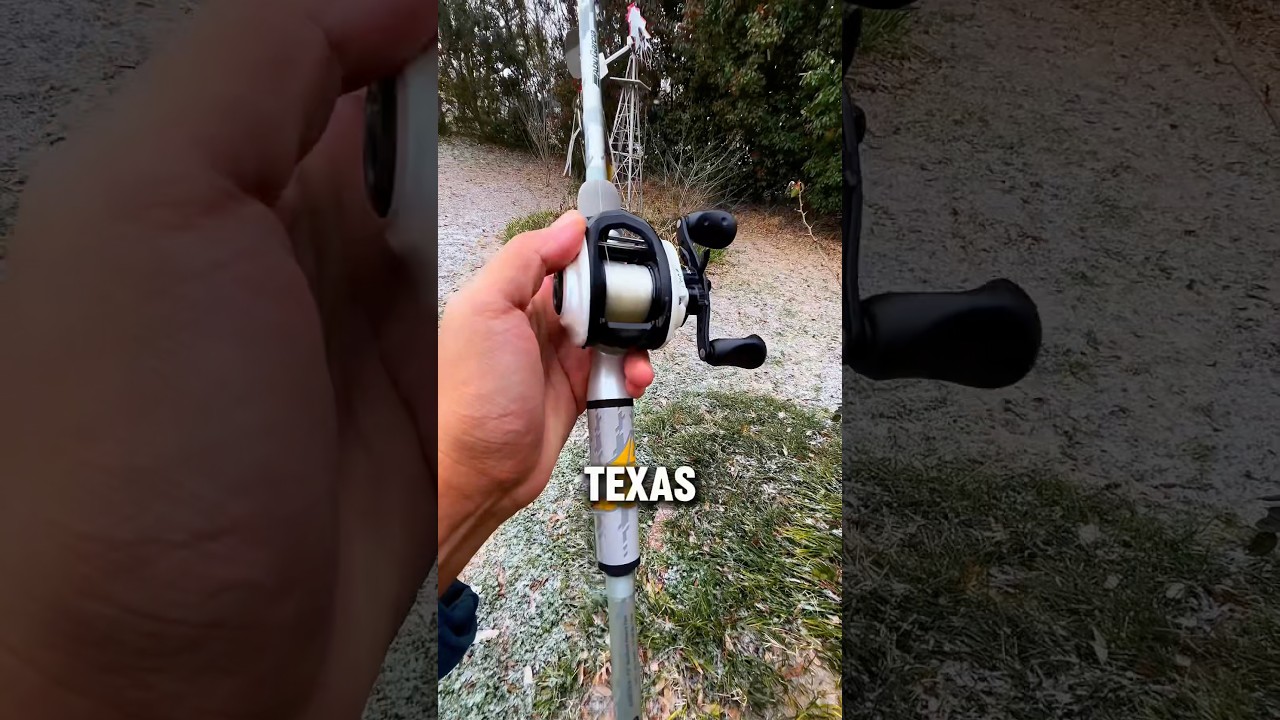 TEXAS🤠#bassfishing #fishing #fishingshorts #fishingvideo #sportfishing #fisherman #fishinglife