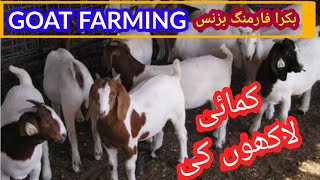 Goat Farming Business بکرا فارمنگ بزنس l Sheep Farming l Goat Breeding l Goat Diet in Urdu Hindi