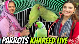 Mama Ko Parrots Gift Kiye Ami Bohat Khush Ho Gaen Na76