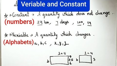 what are variables/what are constants/ variables and constant. Algebra.