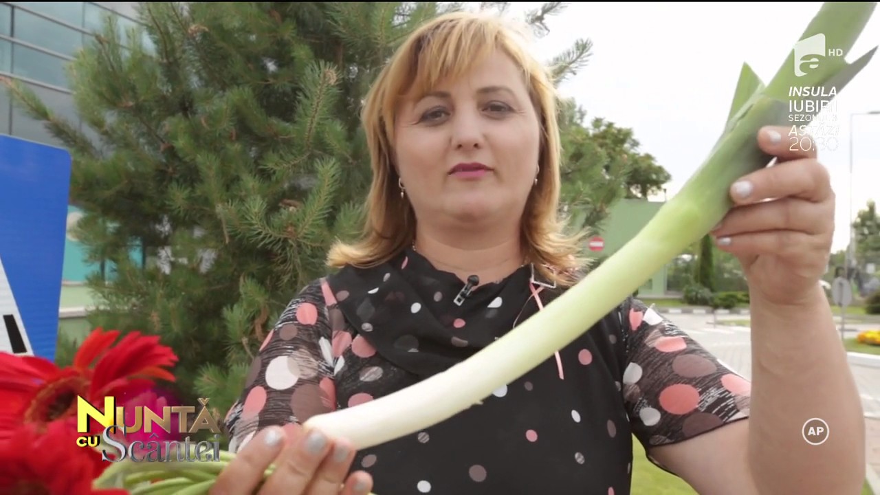 Soacrele trebuie să conceapă un proiect despre nunta ideală a Ionelei și a lui Teodor