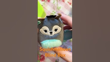 #cute #squishmallows #micromallows #blindbox