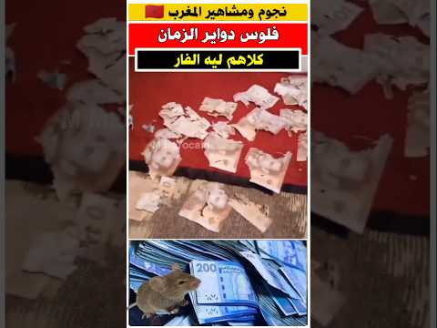 مواطن مغربي شوفوا اش عمل ليه الفأر للفلوس لي كان مخبع
