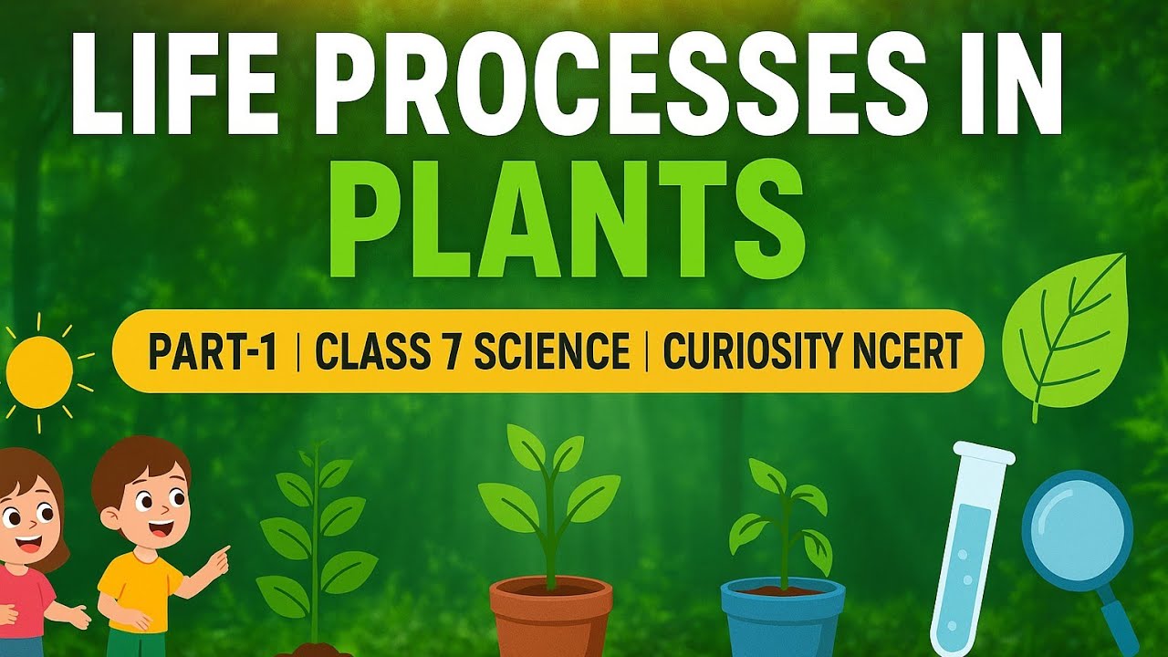 CLASS 7 SCIENCE | CHAPTER 10 | LIFE PROCESSES IN PLANTS PART-1 | NCERT ...
